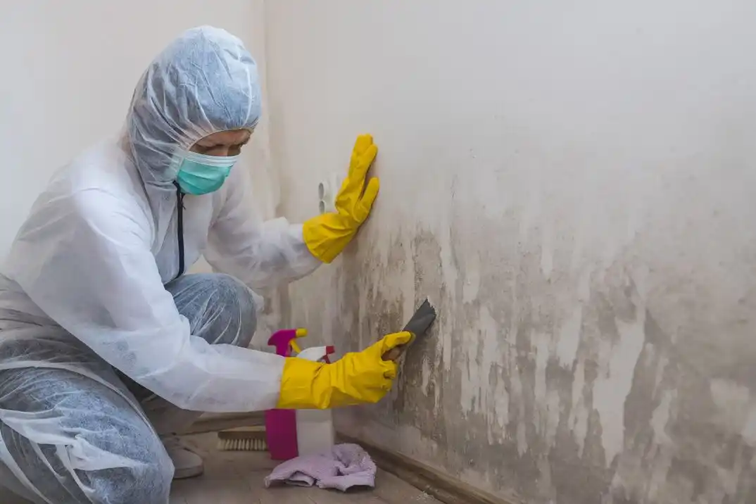 water damage restoration service Truxton